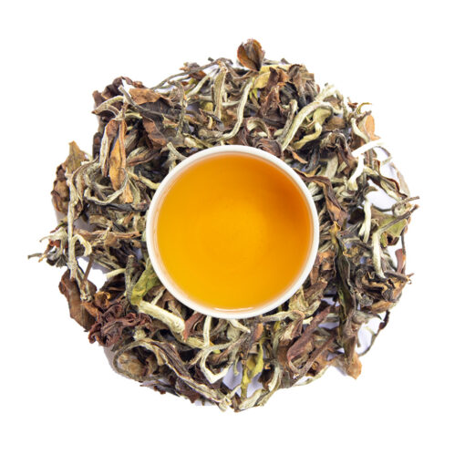 silver tips oolong