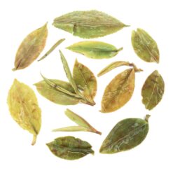 darjeeling organic green tea