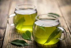 Darjeeling Organic Tea