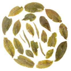 darjeeling organic oolong tea 2024