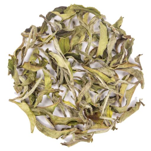 Gooseberry bliss white tea